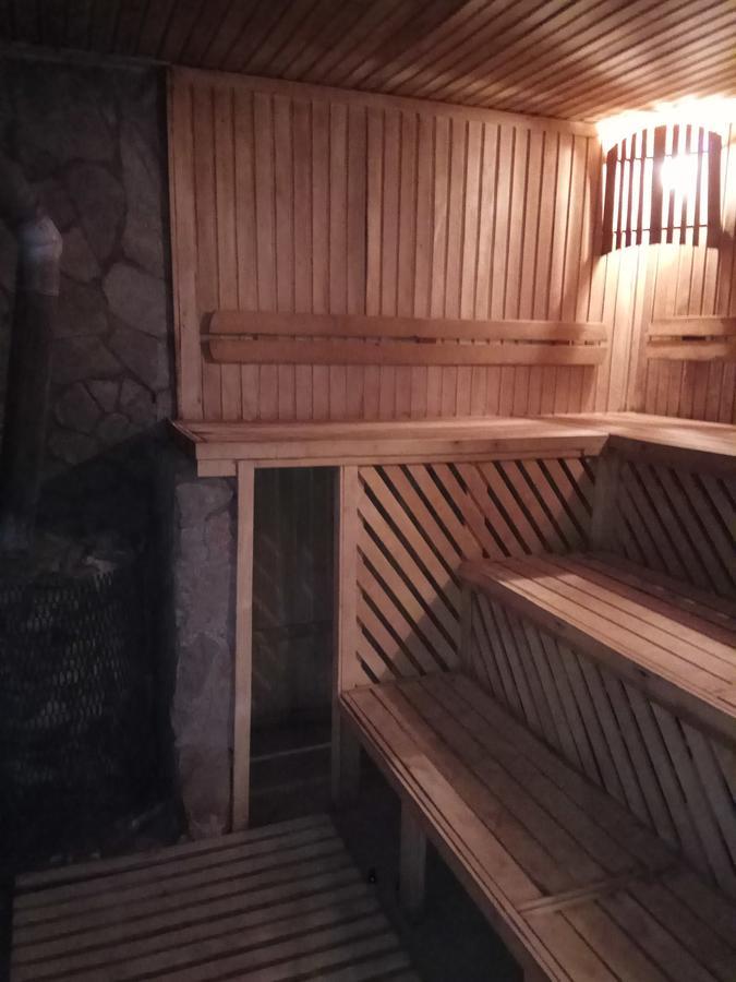 Nizhneye Sinevidnoye Karpaty Viking 모텔 외부 사진