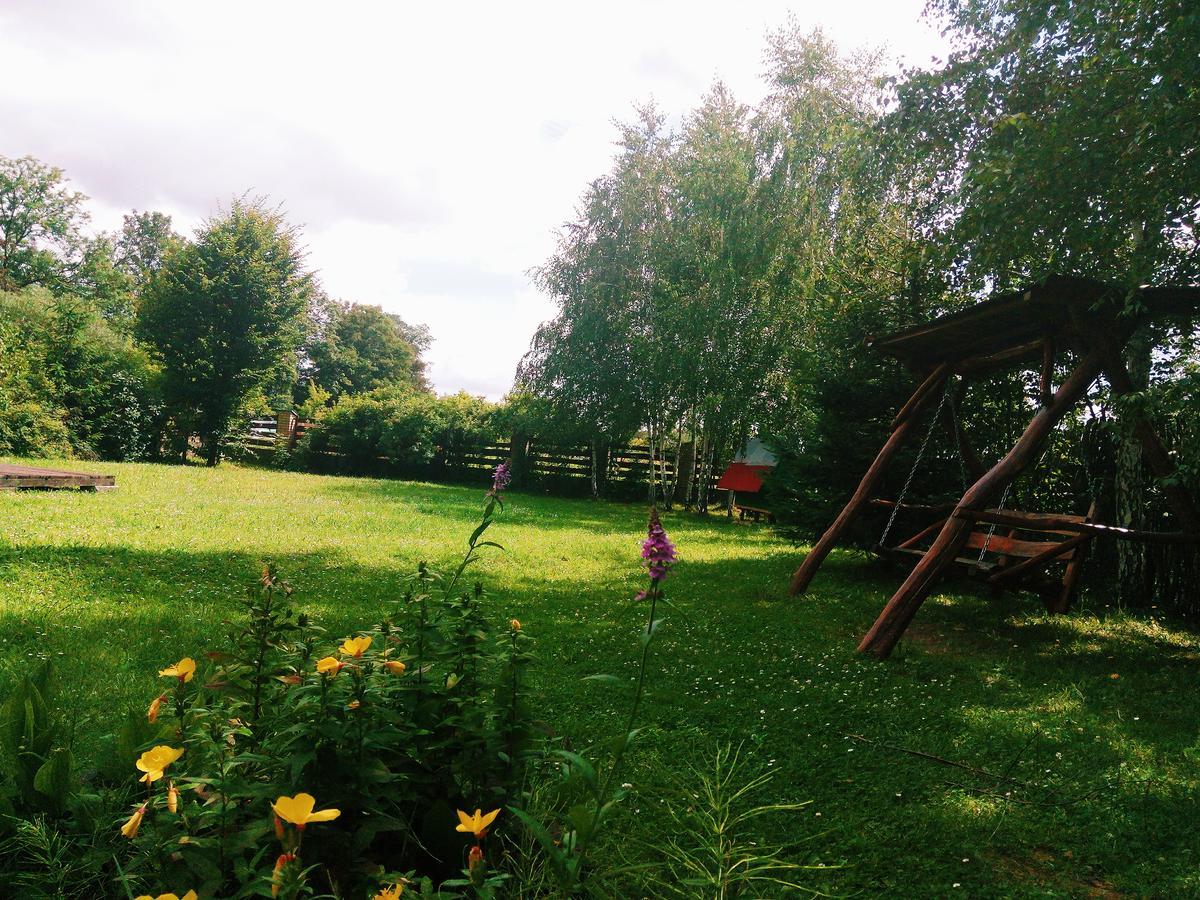 Nizhneye Sinevidnoye Karpaty Viking 모텔 외부 사진