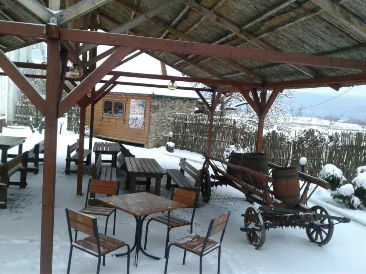 Nizhneye Sinevidnoye Karpaty Viking 모텔 외부 사진