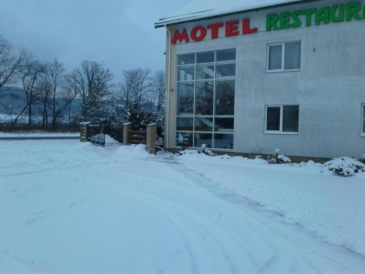 Nizhneye Sinevidnoye Karpaty Viking 모텔 외부 사진